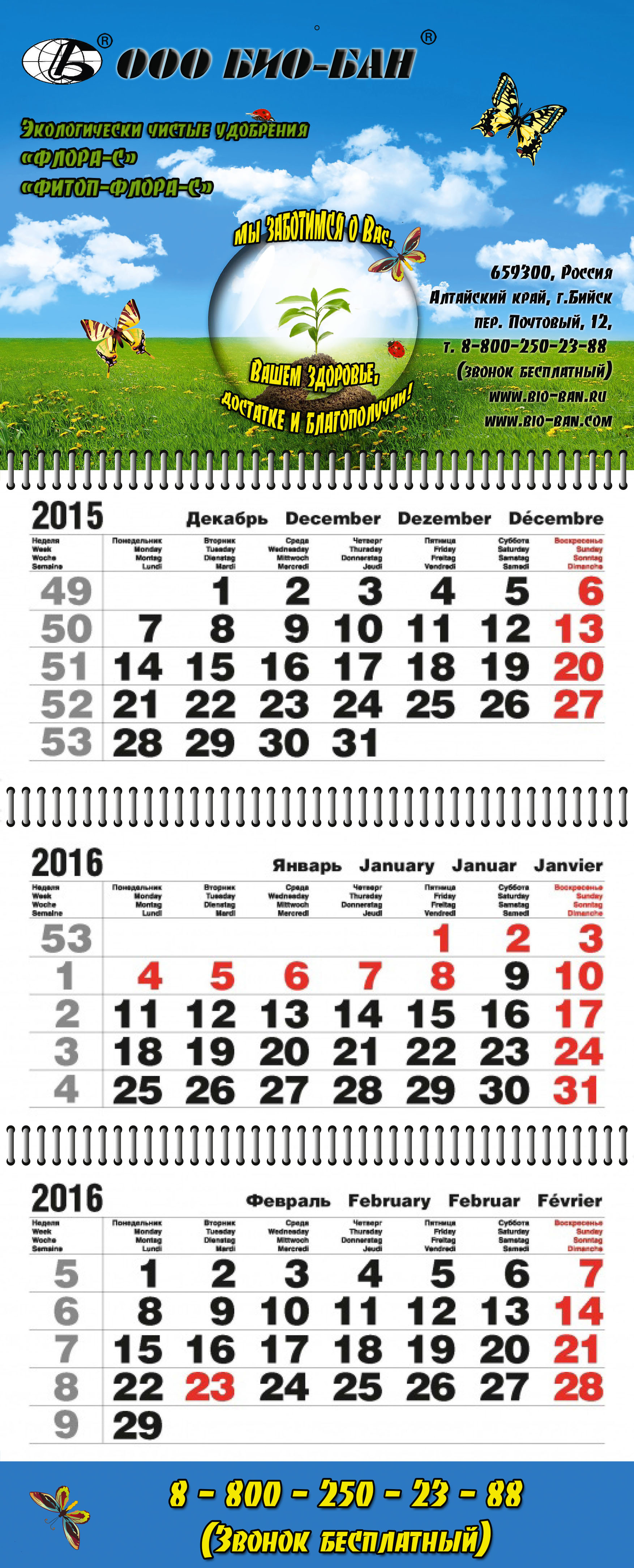     -       .  ,   .    .