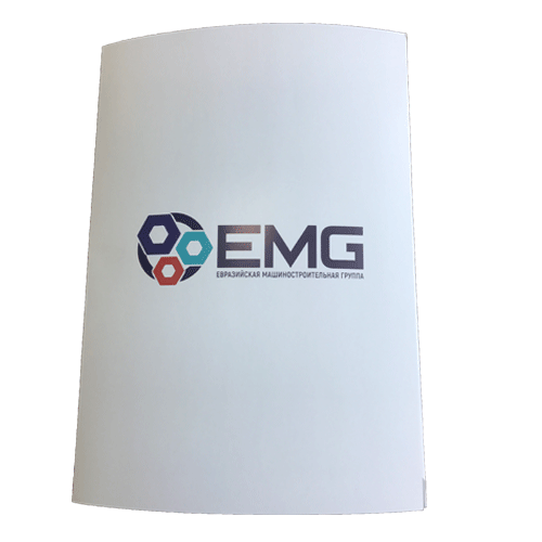 ����� �������� � ��������� EMG ��������� �� ������ ������� � ������� �������� ������. � ����� �������� �������� ����� ����� ����� �� �������� 12_87_002