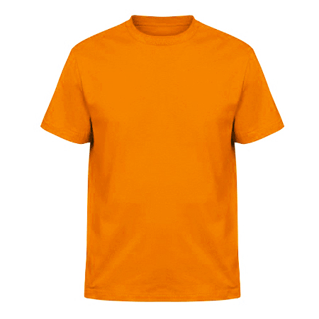 Футболка мужская «SWAN Lux» оранжевая