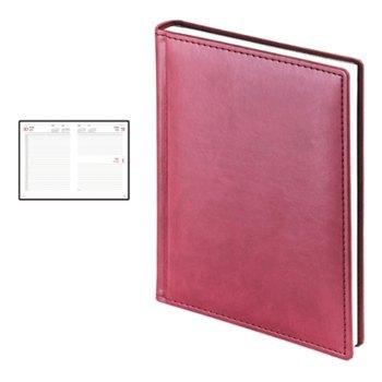    VELVET 5   2025 