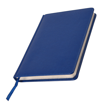 Ежедневник недатированный синий JOY А5 формата